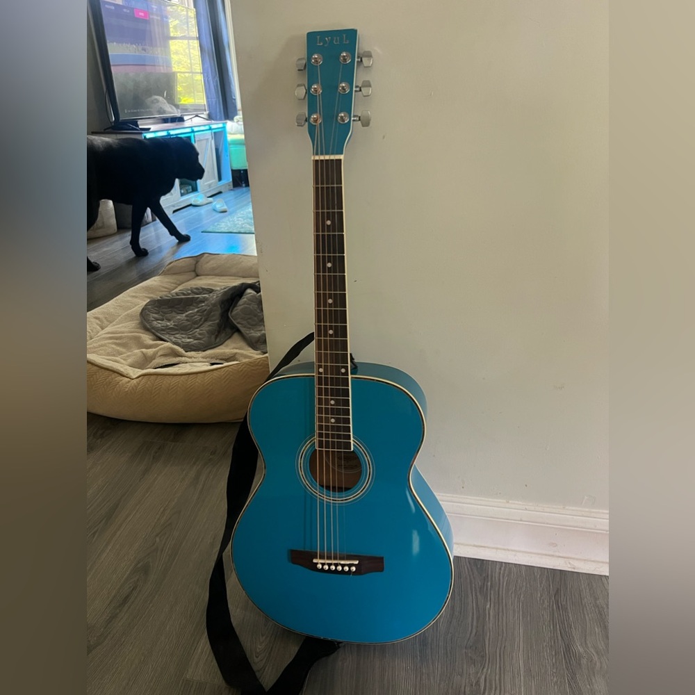 Brand new guitar